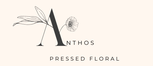Anthos Website